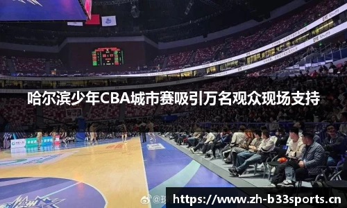 b33体育平台
