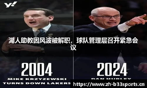 b33体育