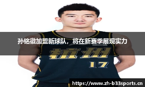 b33体育平台