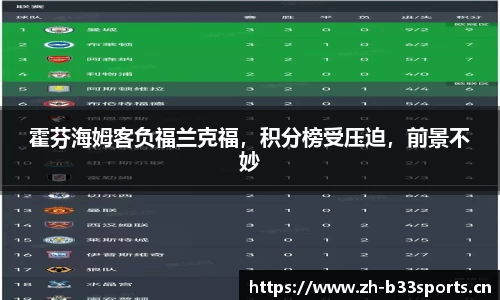 b33体育