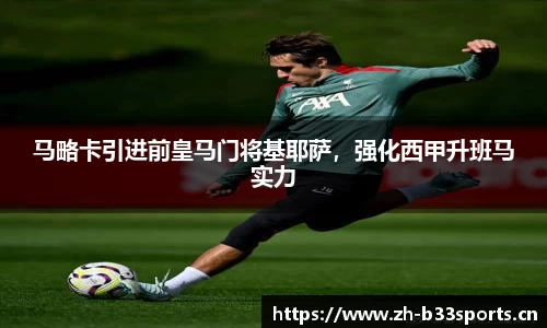 b33体育官网