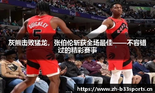 b33体育官方网站