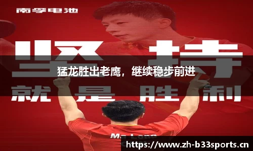 b33体育官网