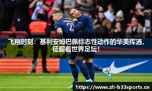b33体育