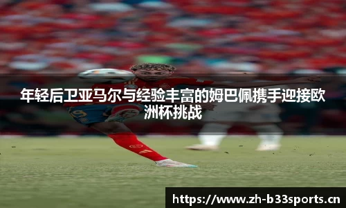 b33体育