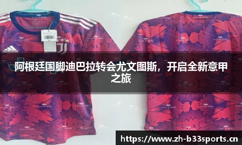 b33体育平台