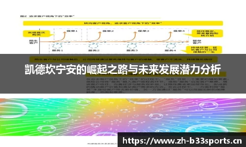 b33体育