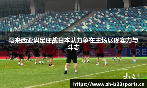 b33体育