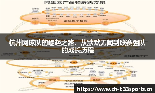 b33体育平台